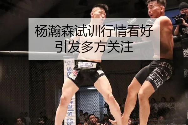 杨瀚森试训行情看好 引发多方关注